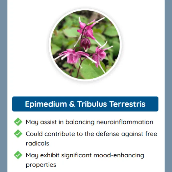 Quietum Plus Natural Formula